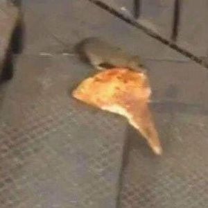 Meet your Posher, Drake